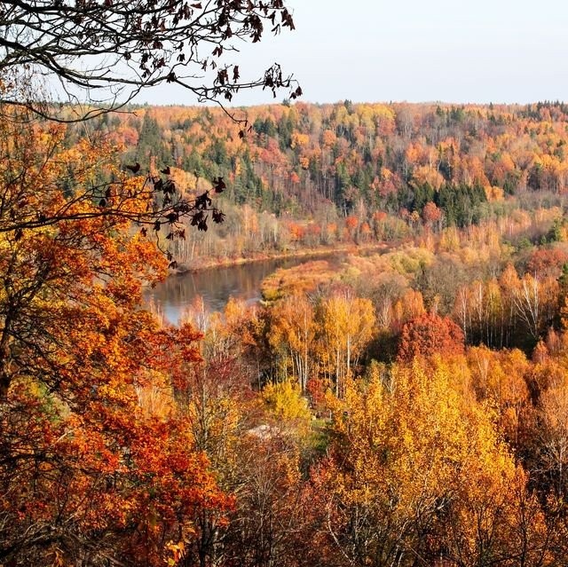 colorful-autumn-landscape-royalty-free-image-1626546846.jpg