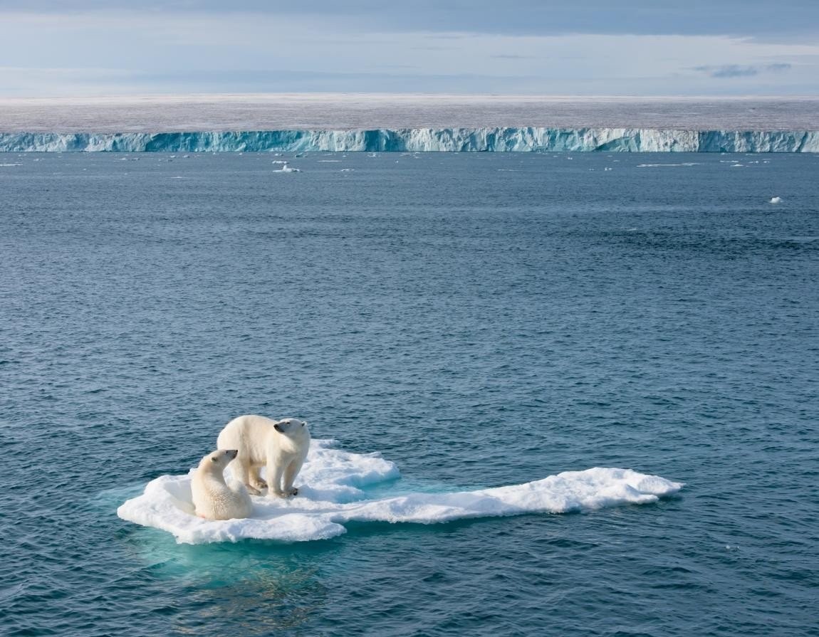 Save the planet: Απλές, καθημερινές συνήθειες που μπορούν να σώσουν τον