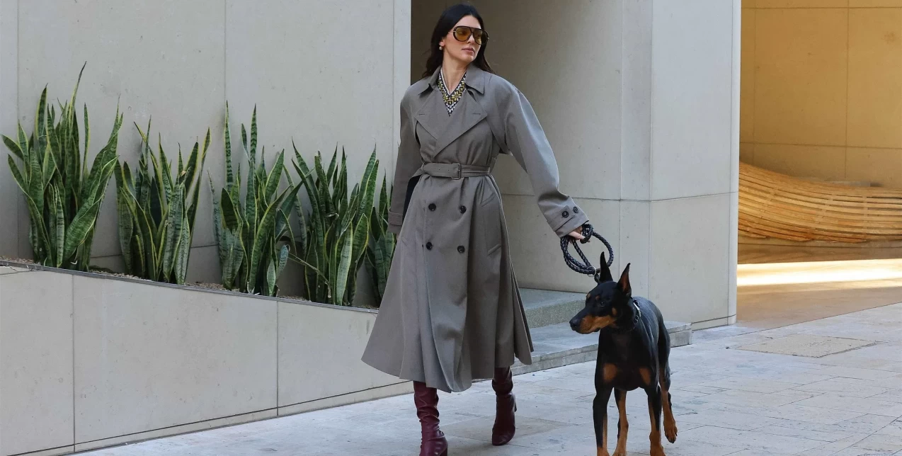 Dogwalks are the new catwalks: Οι αγαπημένες μας street style εμφανίσεις των celebrities με τους σκύλους τους