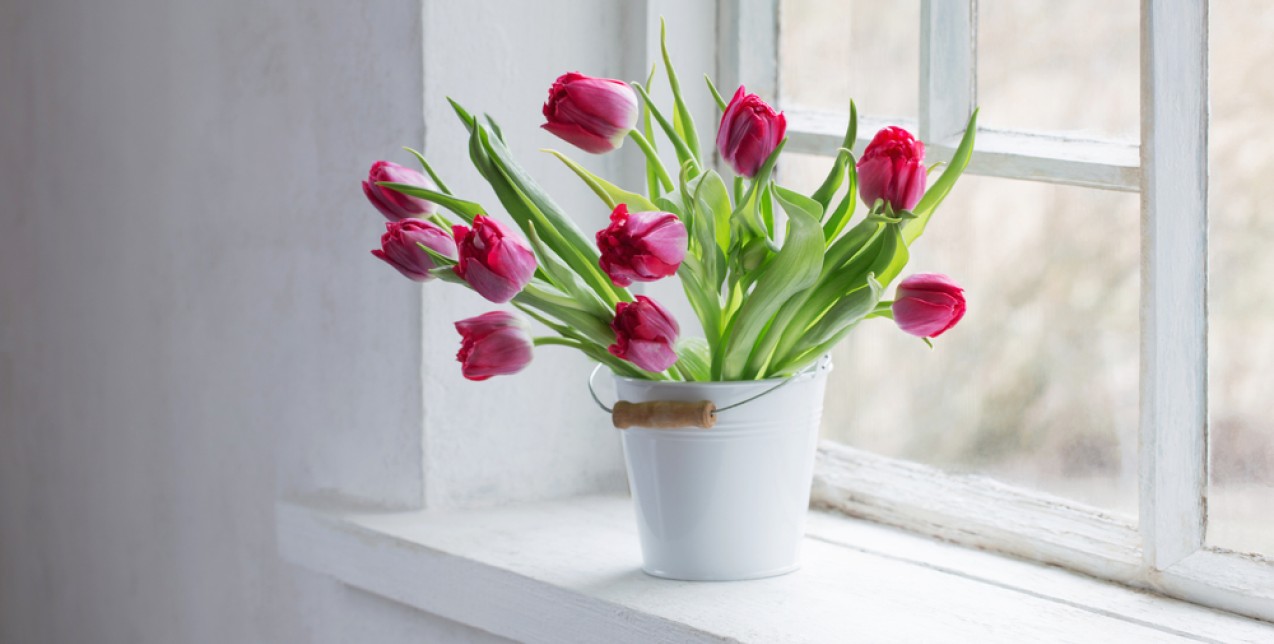 Easter Flowers: Τα συμβολικά λουλούδια για να δωρίσετε το Πάσχα