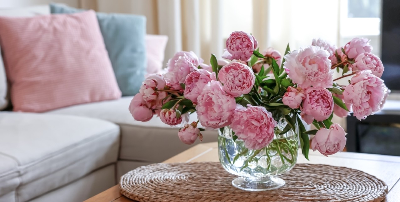 Τα λουλούδια που θα φέρουν μια καλοκαιρινή και joyful διάθεση στο σπίτι σας