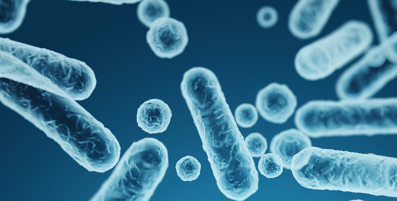 Ευ ζην στην Εμμηνόπαυση: Όσα οφείλουμε να γνωρίζουμε για το μικροβίωμα ως παράγοντα ισορροπίας κατά τη διάρκεια της εμμηνόπαυσης