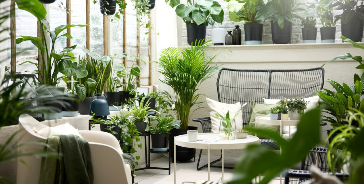 Ποιοι είναι οι ιδανικοί βολβοί για να φυτέψουμε τον Μάρτιο ώστε να αποκτήσουμε έναν εντυπωσιακό καλοκαιρινό κήπο