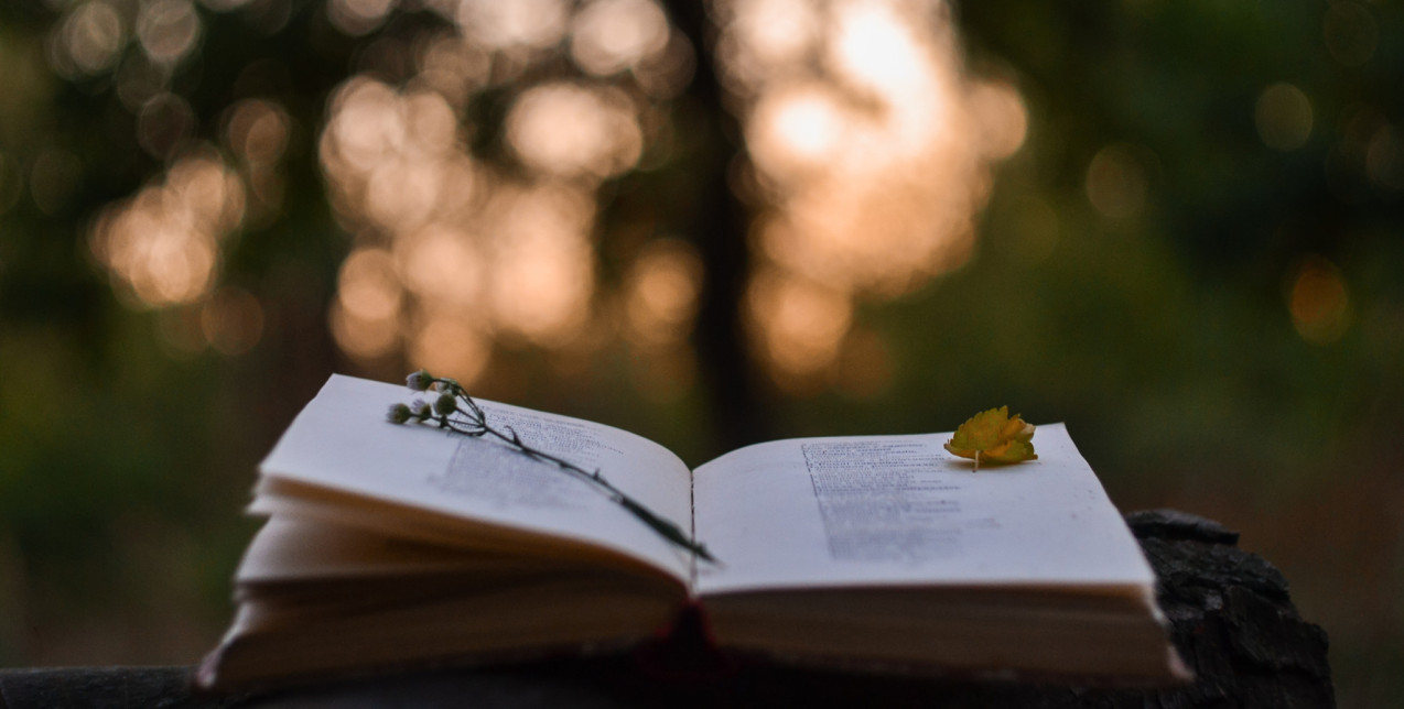 World Poetry Day: Οι καλύτερες ποιητικές συλλογές όλων των εποχών που πρέπει να διαβάσετε έστω μία φορά στη ζωή σας