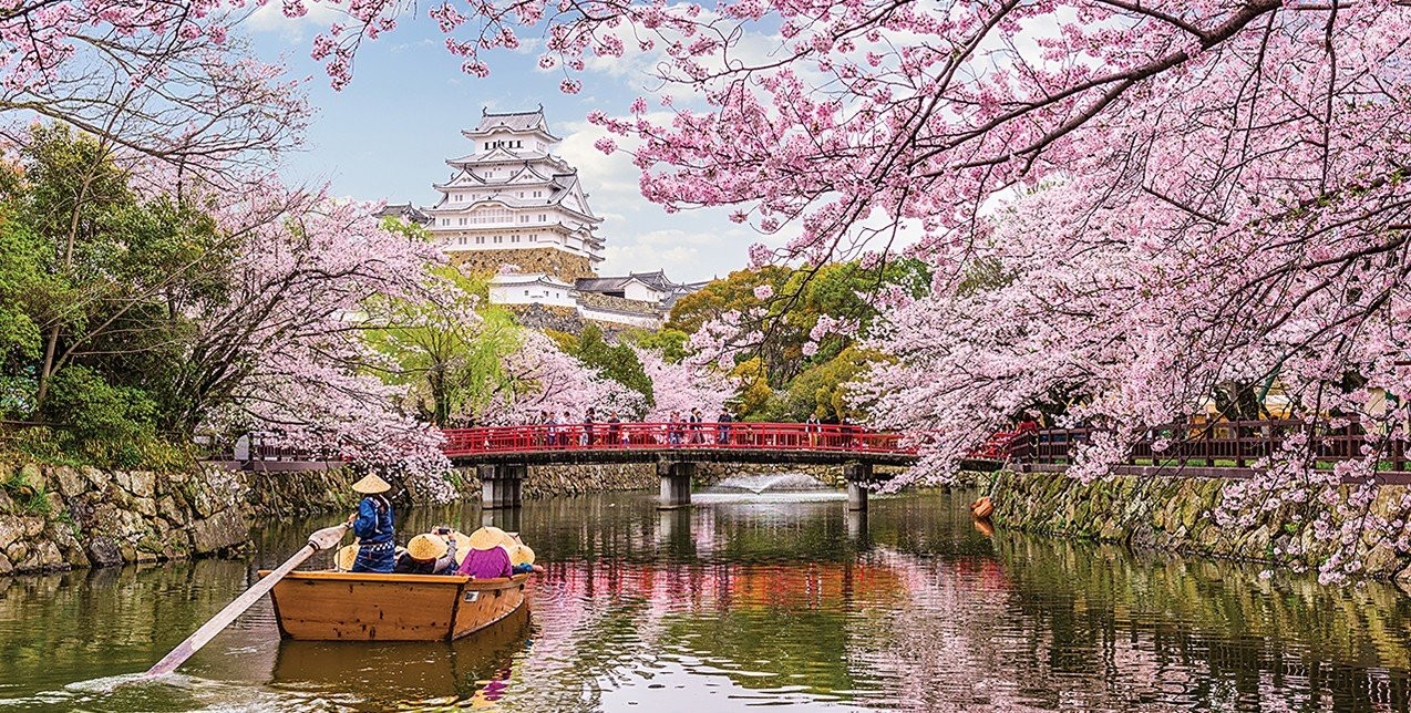 Pink in Japan: Ένα ταξίδι-εμπειρία ζωής στην υπέροχη Ιαπωνία