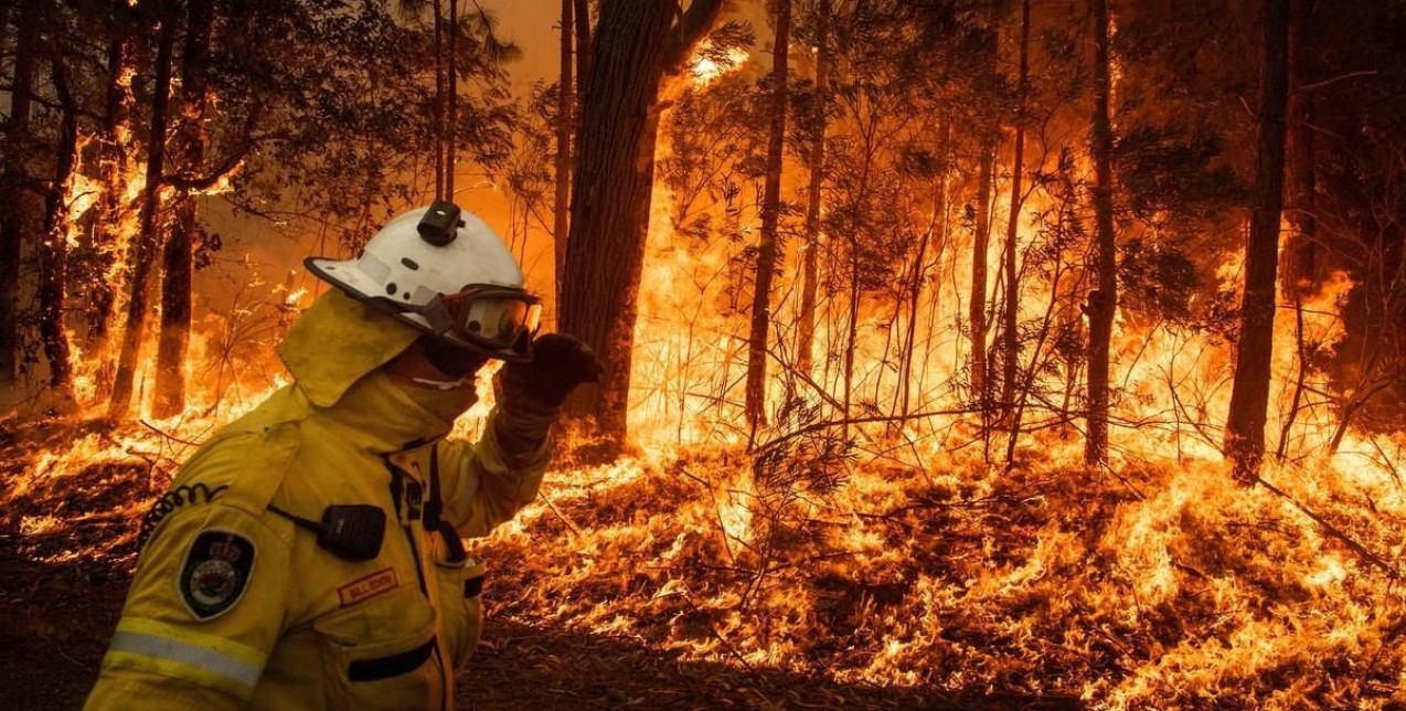 Τελικά ποιος ευθύνεται για την τεράστια οικολογική καταστροφή της Αυστραλίας; 