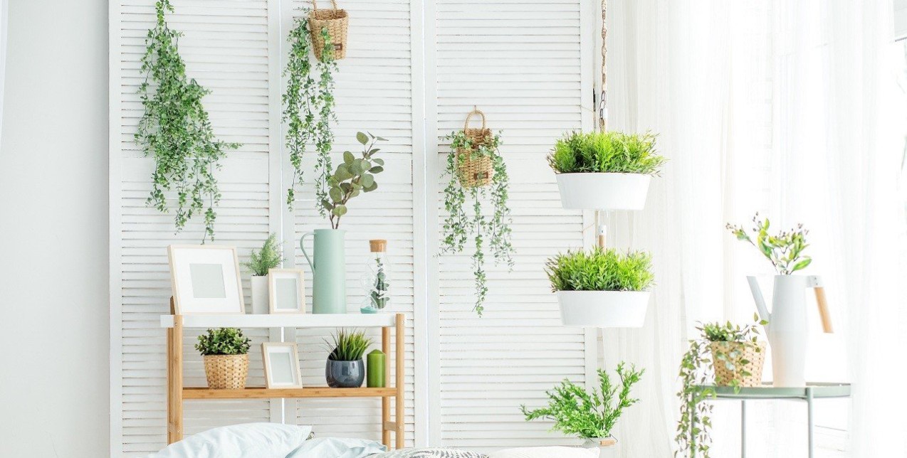 Green Power: 5+1 αναρριχώμενα φυτά που θα λειτουργήσουν ως διακοσμητικά της κατοικίας σας 