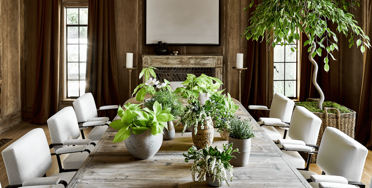 Feng shui: 5 φυτά εσωτερικού χώρου που θα φέρουν καλή τύχη στο σπίτι σας