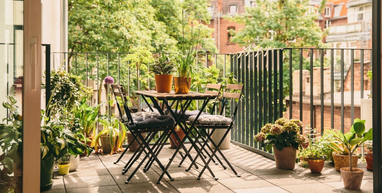 Outdoor plants: Τα αναρριχώμενα φυτά που θα χαρίσουν ανοιξιάτικη πνοή στο μπαλκόνι σας