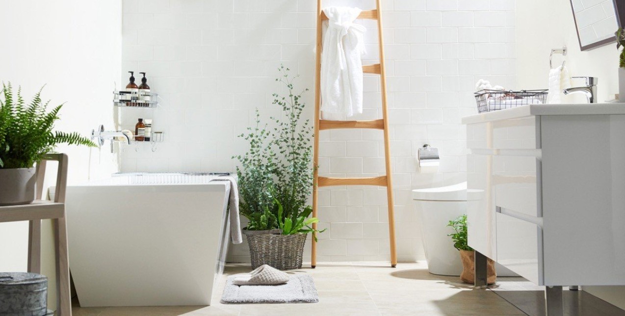Bathroom plants: Τα καλύτερα φυτά που θα μεταμορφώσουν το μπάνιο σας