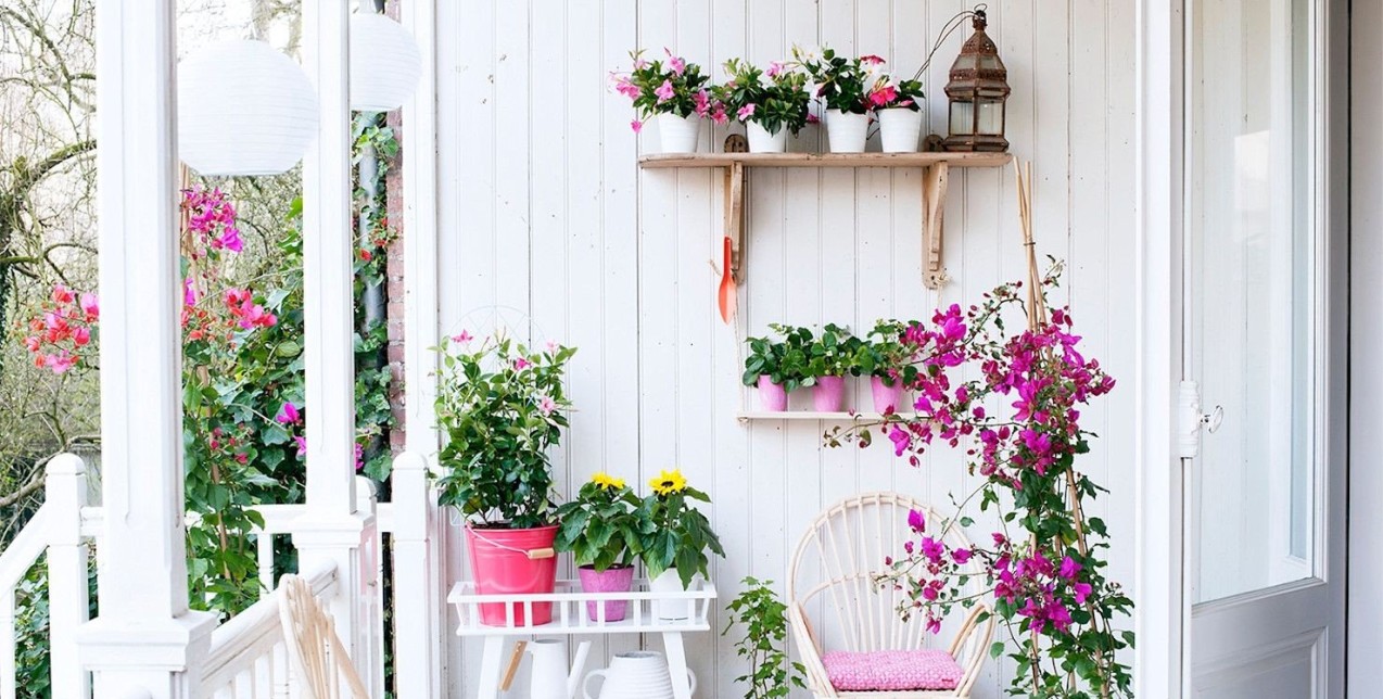 6 καλοκαιρινά λουλούδια που θα δώσουν ultra fresh «πνοή» στο μπαλκόνι σας