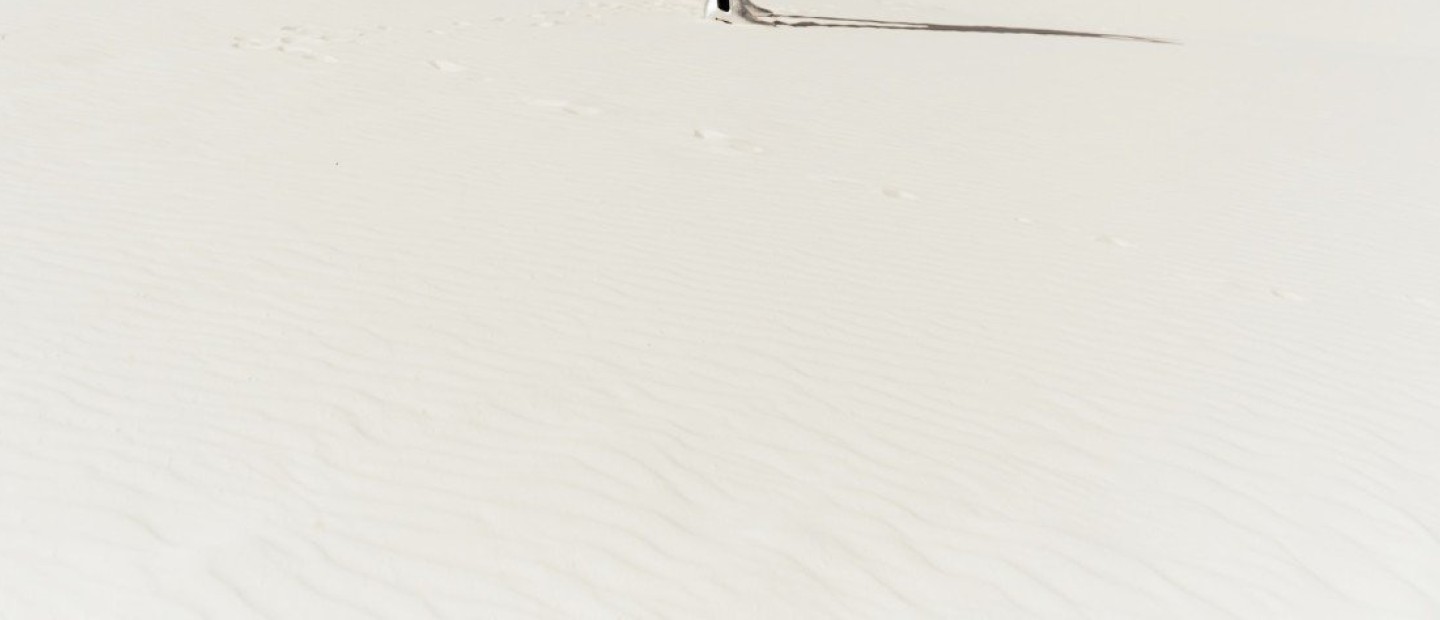 Τελικά το Manifestation δουλεύει; Ή απλά το κάνουμε λάθος; 