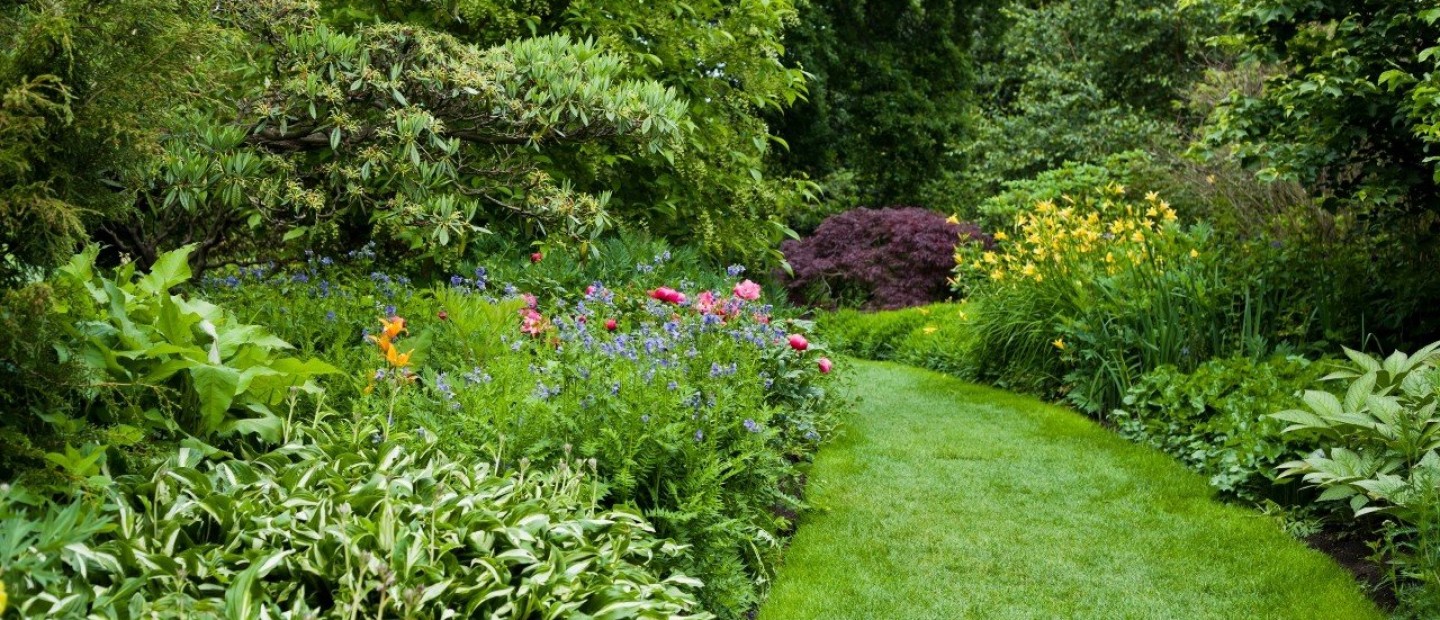 Easy-to-grow-summer flowers: Τα 4 κορυφαία λουλούδια για να φυτέψουμε εύκολα στον κήπο μας 