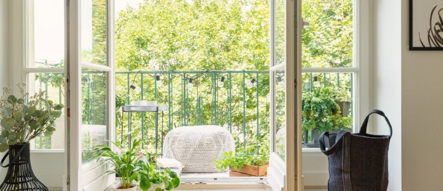 Τα λουλούδια και τα φυτά που αγαπούν τον ήλιο και πρέπει να βρίσκονται σε κάθε μπαλκόνι 