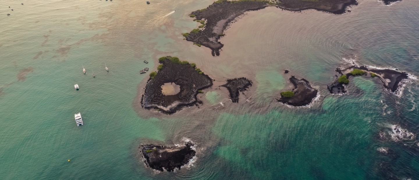 Planet Alert: Το ρεκόρ υψηλών θερμοκρασιών και η σημαντική αλλαγή στα νερά της Μεσογείου