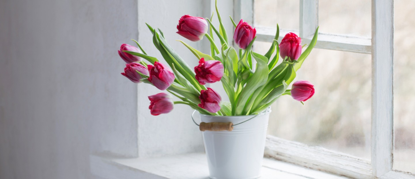 Easter Flowers: Τα συμβολικά λουλούδια για να δωρίσετε το Πάσχα
