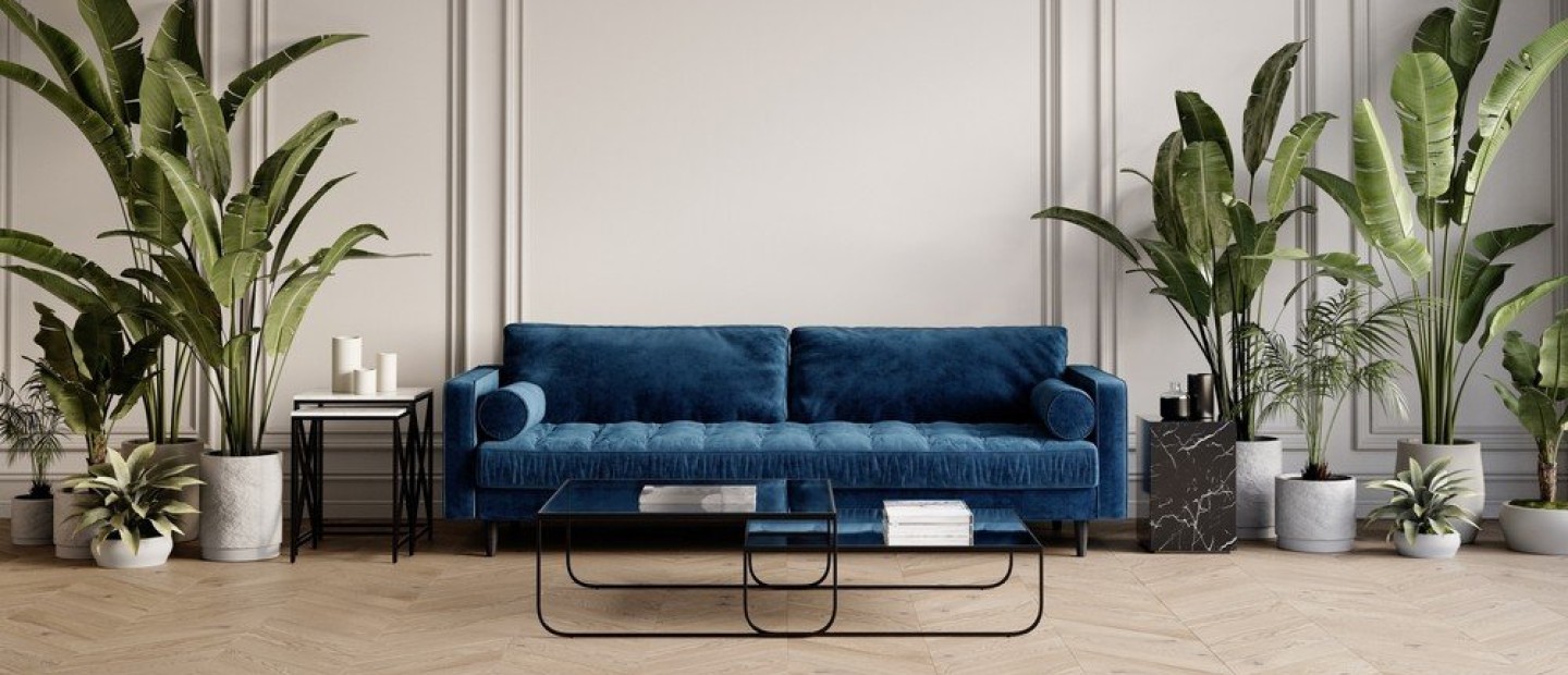 Ιδέες για να κάνετε styling στα φυτά εσωτερικού χώρου ώστε να φαίνονται κομψά