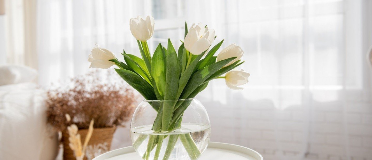 Τουλίπες σε βάζο: Συμβουλές για να παραμείνουν ανθισμένες για περισσότερο καιρό