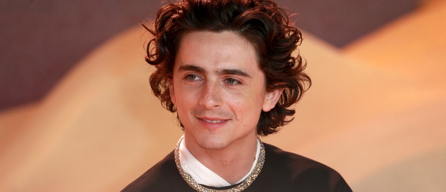 O Timothée Chalamet συγκίνησε ως Bob Dylan στην εκπομπή Saturday Night Live