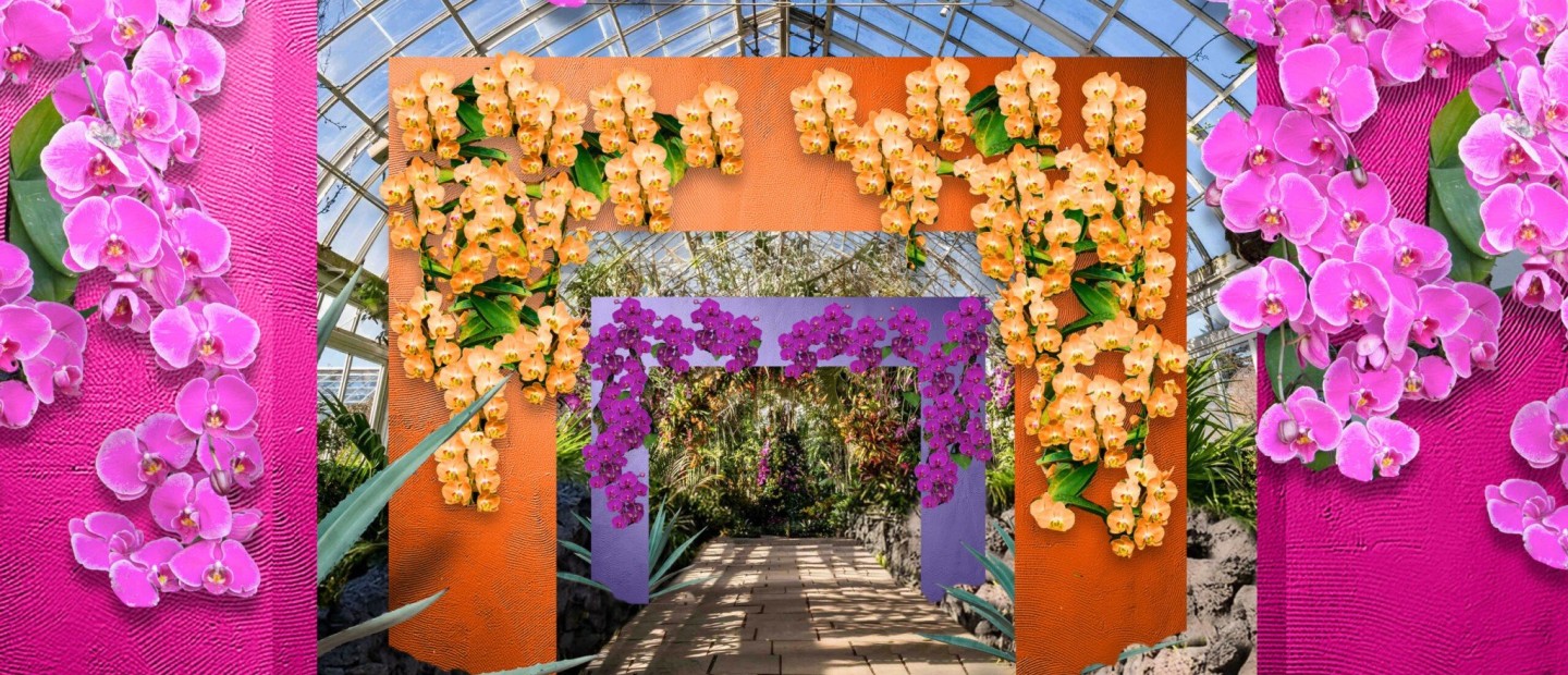 Orchid Show: Ο Βοτανικός Κήπος της Νέας Υόρκης μεταμορφώνεται σε ένα παραδεισένιο σκηνικό γεμάτο ορχιδέες