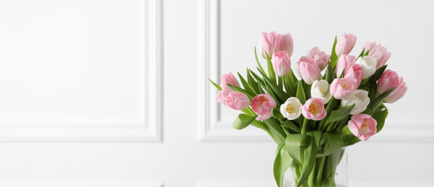 Τουλίπες: Ποιο χρώμα να επιλέξετε ανάλογα με τον χώρο και τον χαρακτήρα σας