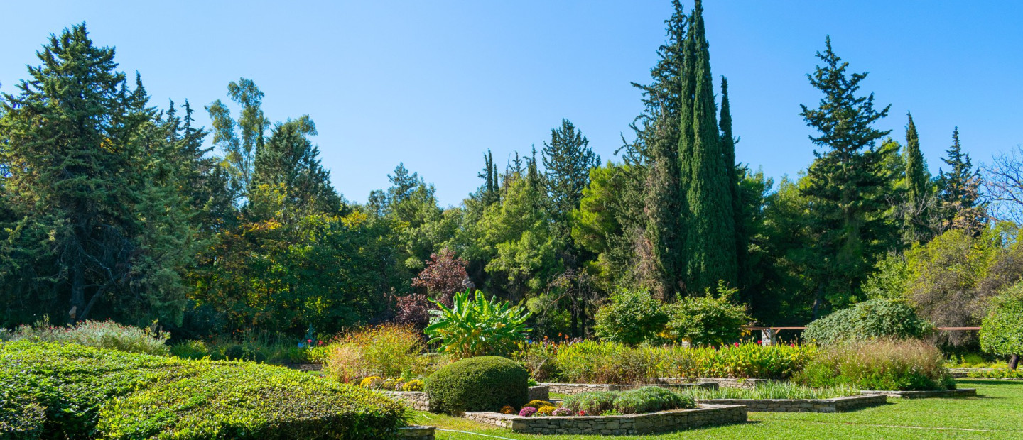 Στην Αθήνα ένας από του ομορφότερους «κρυφούς» κήπους της Ευρώπης σύμφωνα με τον Guardian 