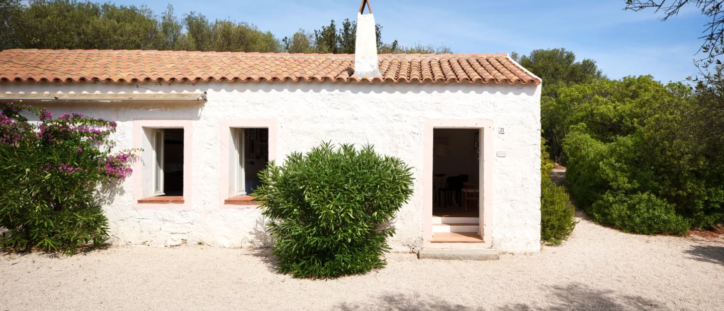 Μια παλιά αγροτική φάρμα στη Σαρδηνία μετατράπηκε σε όαση ανάμεσα σε ελαιόδεντρα 