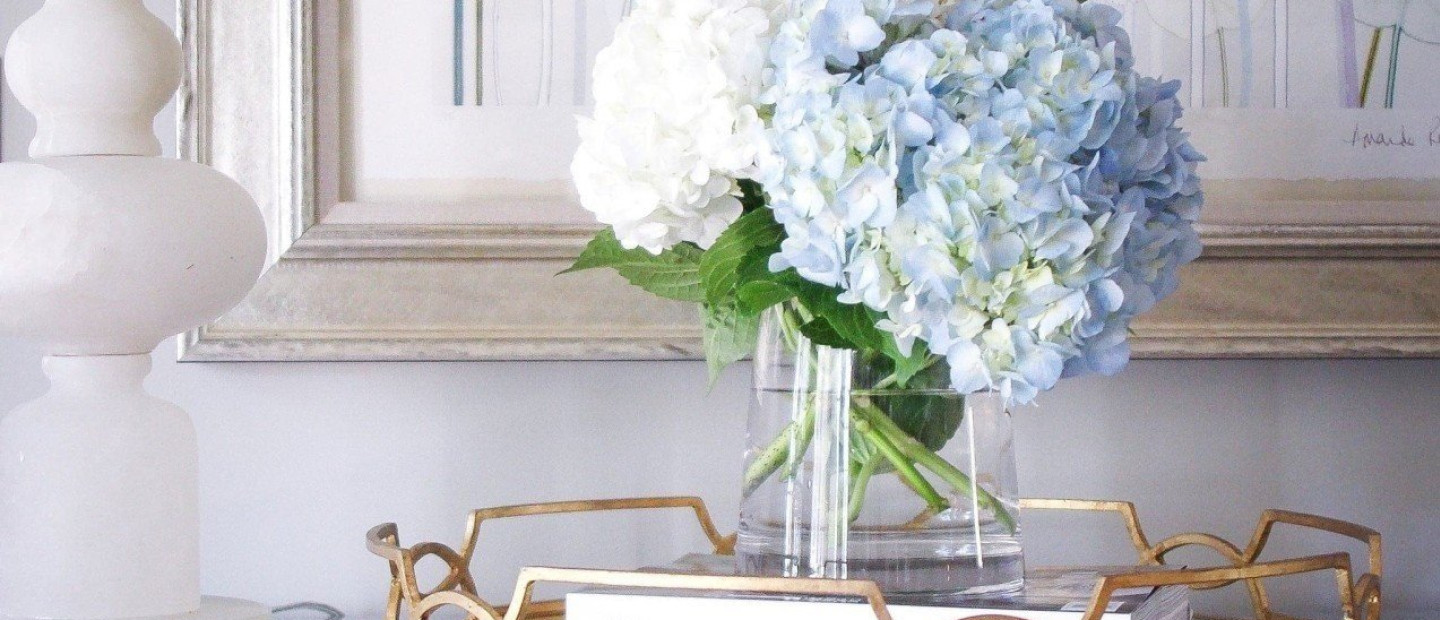 Τα ωραιότερα λουλούδια και φυτά για τους χώρους του σπιτιού σας, ιδανικά για τους μήνες που ακολουθούν