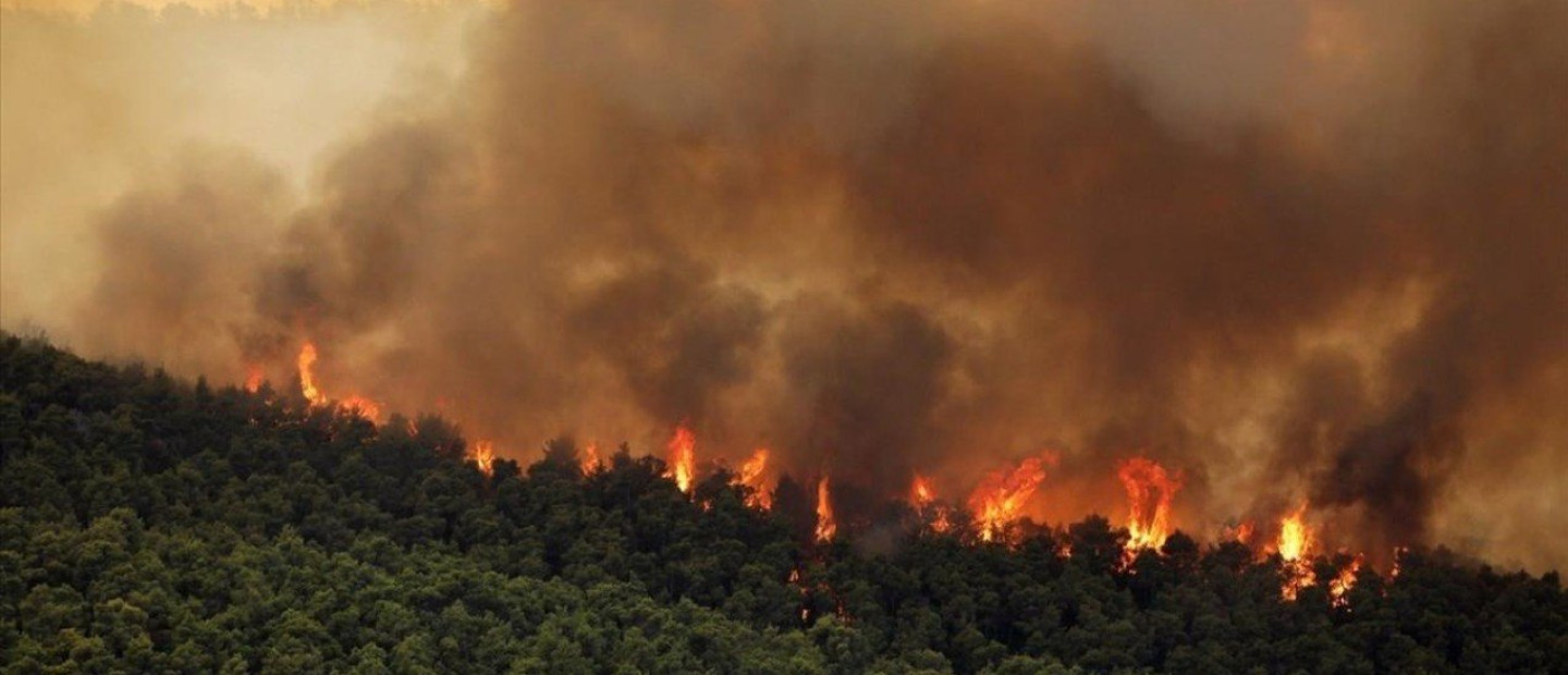 Η Ελλάδα εκπέμπει SOS: Πώς μπορείτε να βοηθήσετε τους πληγέντες των πυρκαγιών