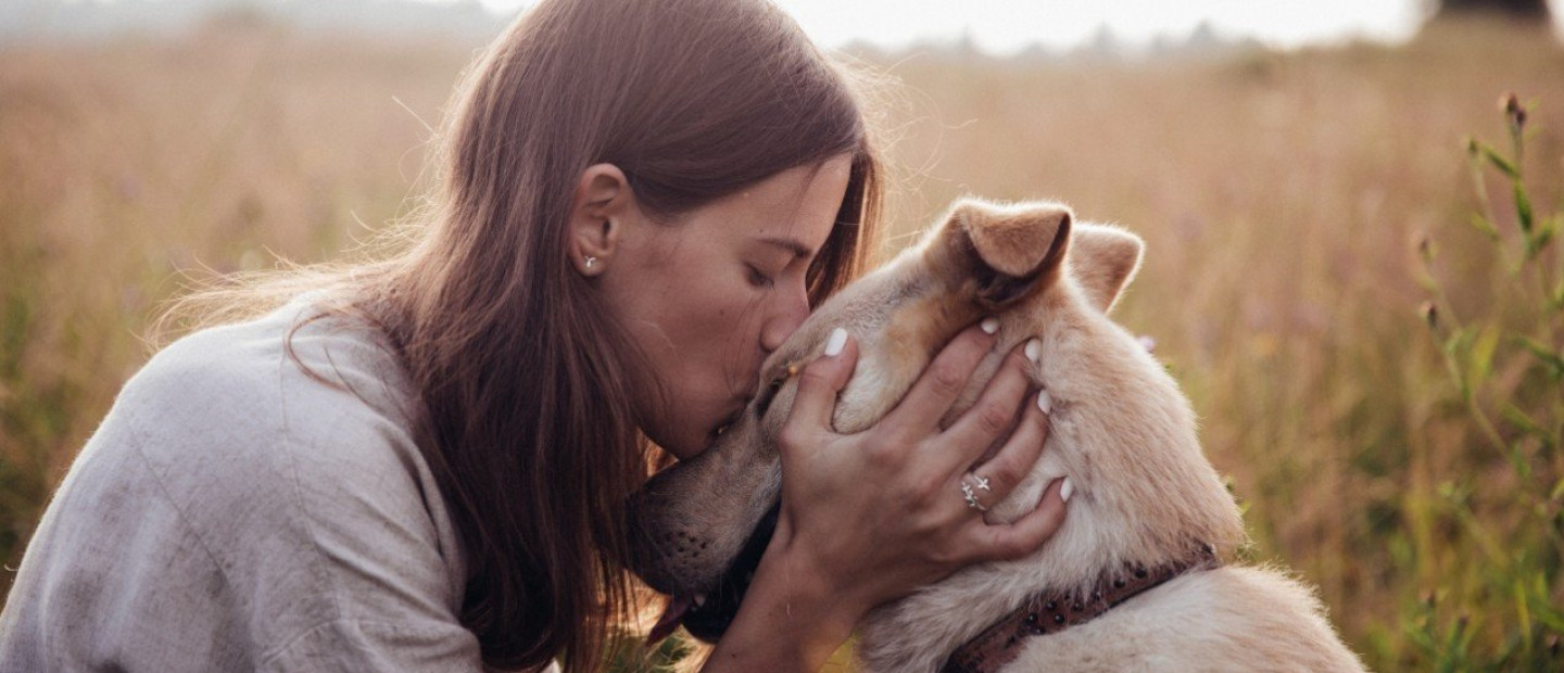  International Dog Day: Γιατί τελικά ο σκύλος είναι ο καλύτερος φίλος του ανθρώπου; Η επιστήμη απαντά