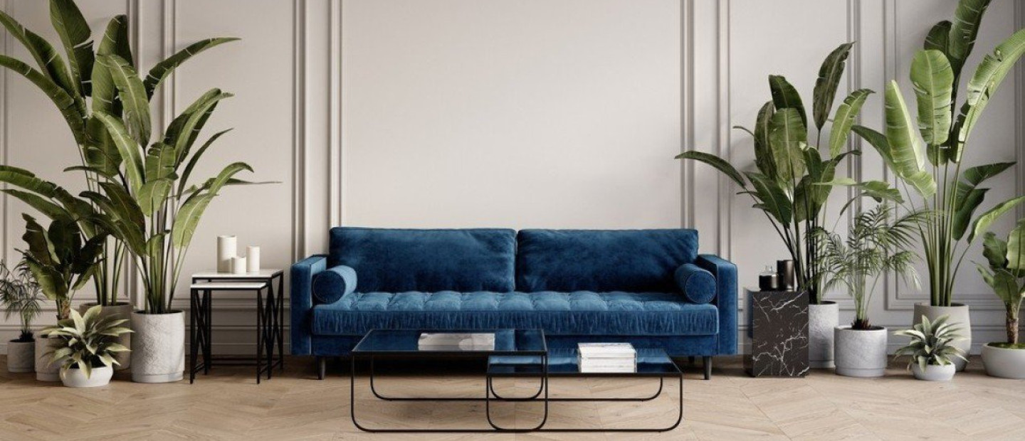 Έτσι θα «δώσουμε ζωή» στα φυτά μας ξανά μετά από μια περίοδο παραμέλησης