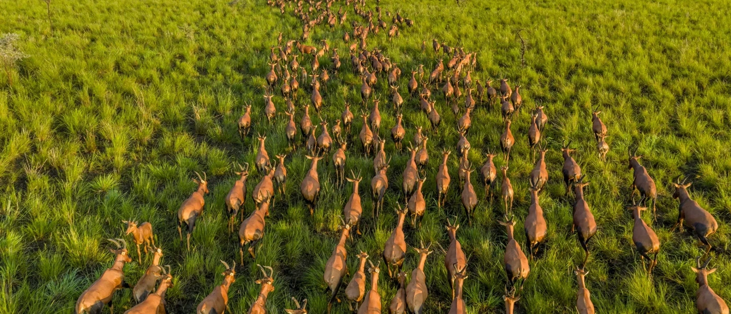 Pictures of the Year 2025: Το National Geographic διάλεξε τις καλύτερες φωτογραφίες της χρονιάς που μας πέρασε