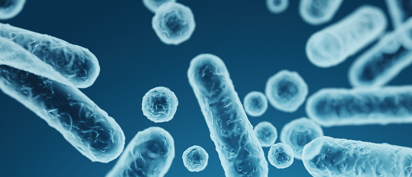 Ευ ζην στην Εμμηνόπαυση: Όσα οφείλουμε να γνωρίζουμε για το μικροβίωμα ως παράγοντα ισορροπίας κατά τη διάρκεια της εμμηνόπαυσης