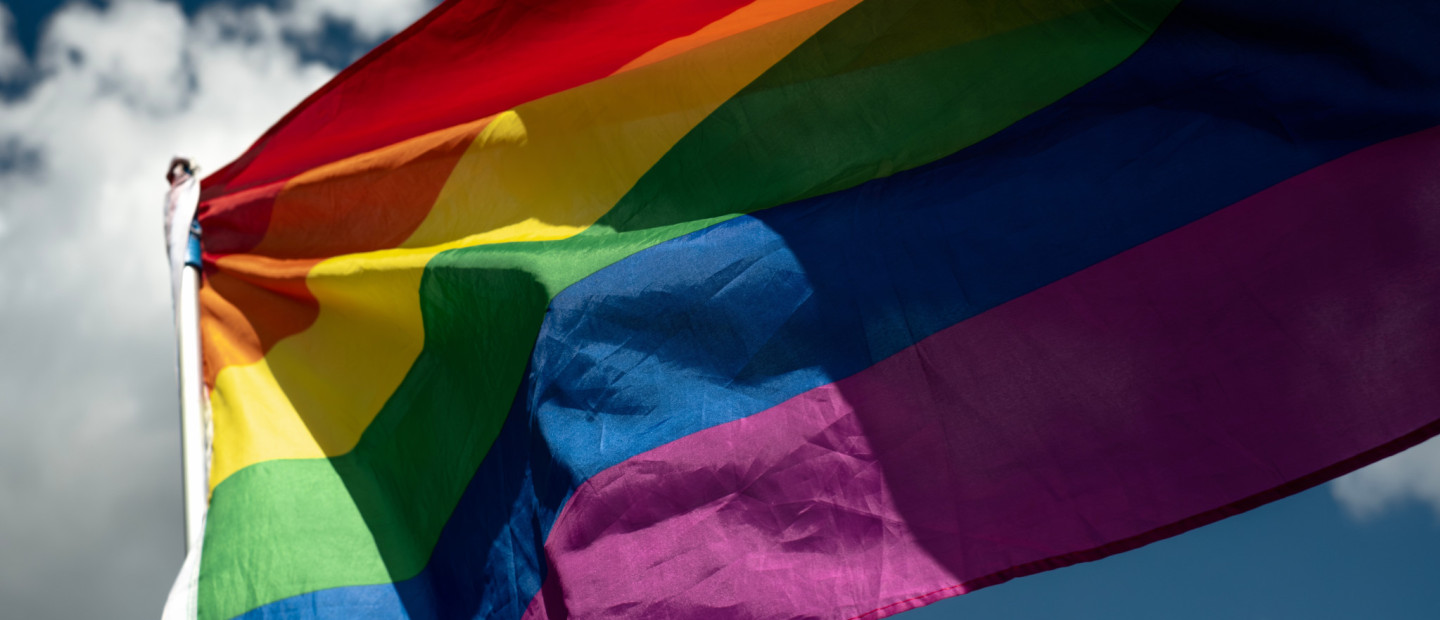 Μια σημαντική απόφαση: Συνταγματικός ο γάμος και η υιοθεσία από ομόφυλα ζευγάρια