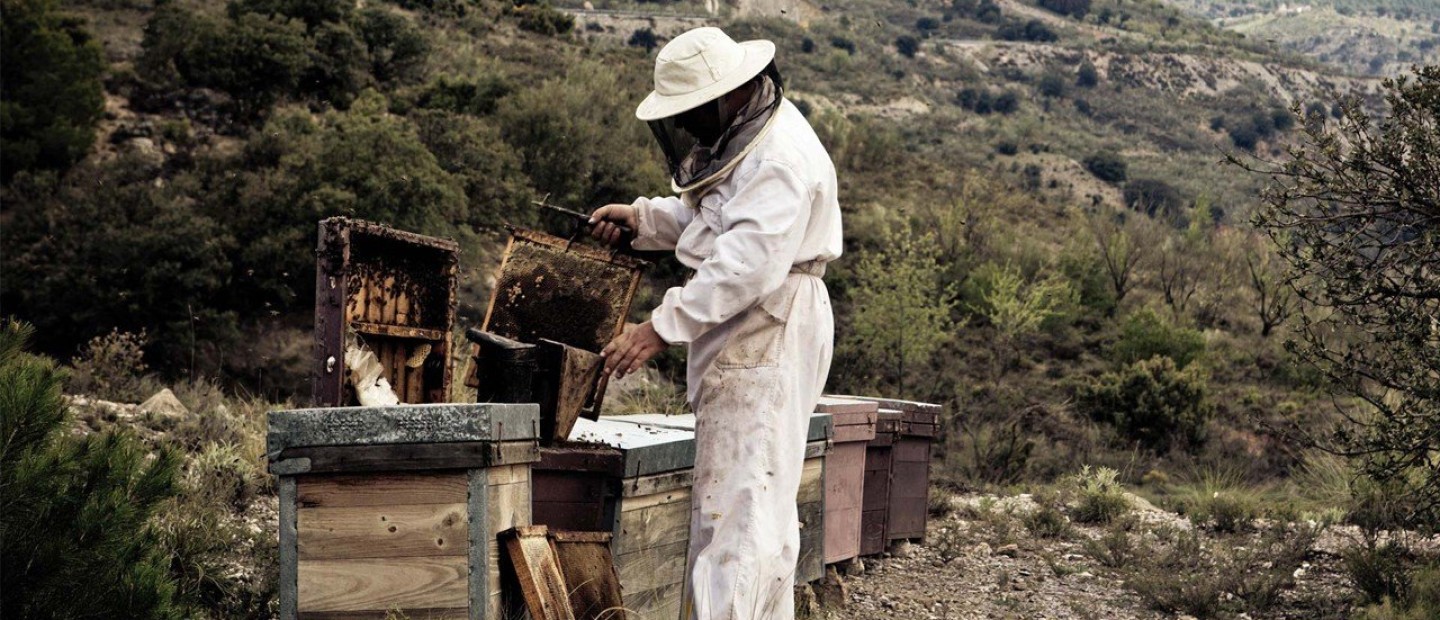 Melitheon: Το μέλι των Θεών 