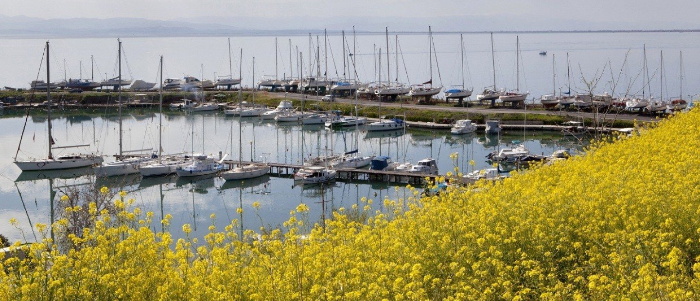 City Vibes: Oι ειδυλλιακοί προορισμοί όπου μπορείτε να απολαύσετε τη βόλτα σας μέσα στη Θεσσαλονίκη  