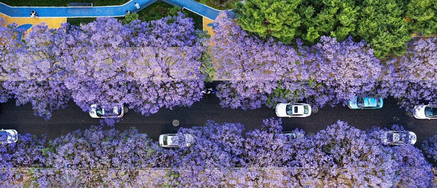 Οι 10 πιο όμορφοι δρόμοι του κόσμου -ανάμεσά τους και η Ελλάδα 