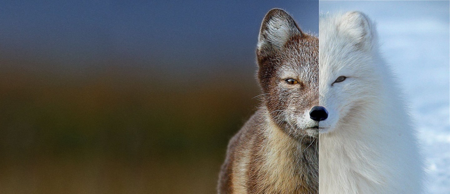 7 βραβευμένα ντοκιμαντέρ του Netflix για να δείτε τον Ιανουάριο 