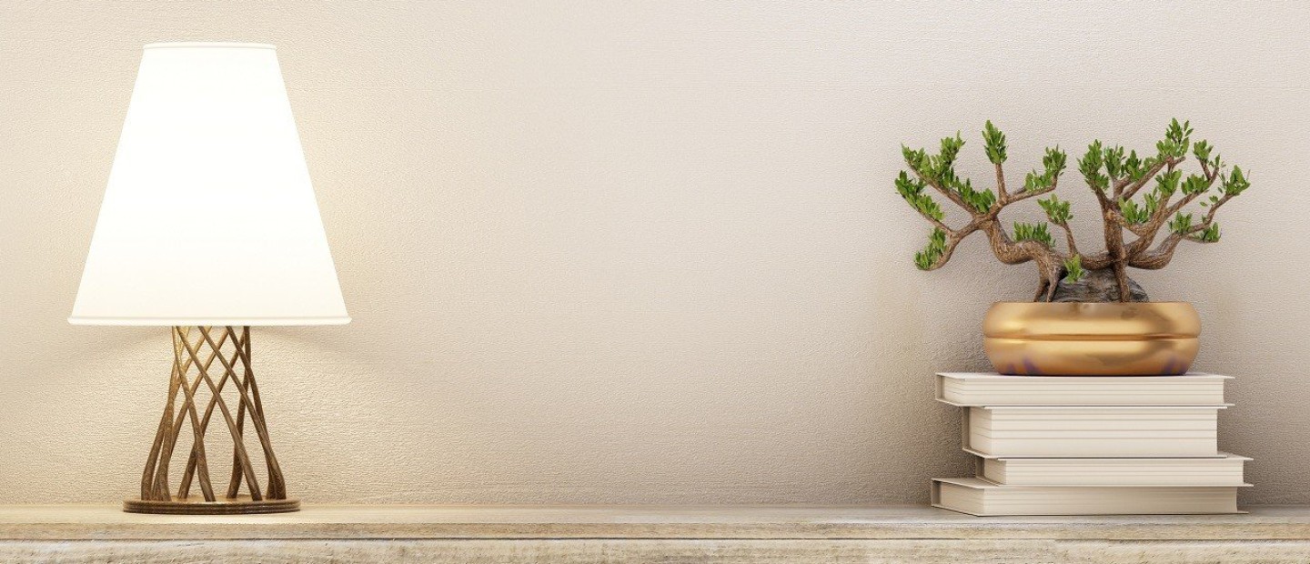 How to: Πώς να μεγαλώσετε σωστά και να φροντίσετε ένα Bonsai 