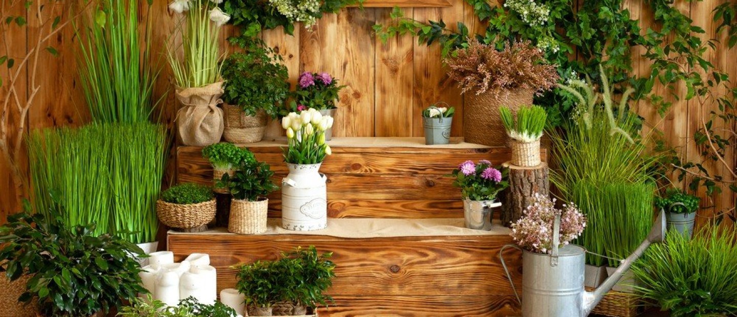 Πώς να βοηθήσετε τα φυτά σας να επιβιώσουν στον καύσωνα