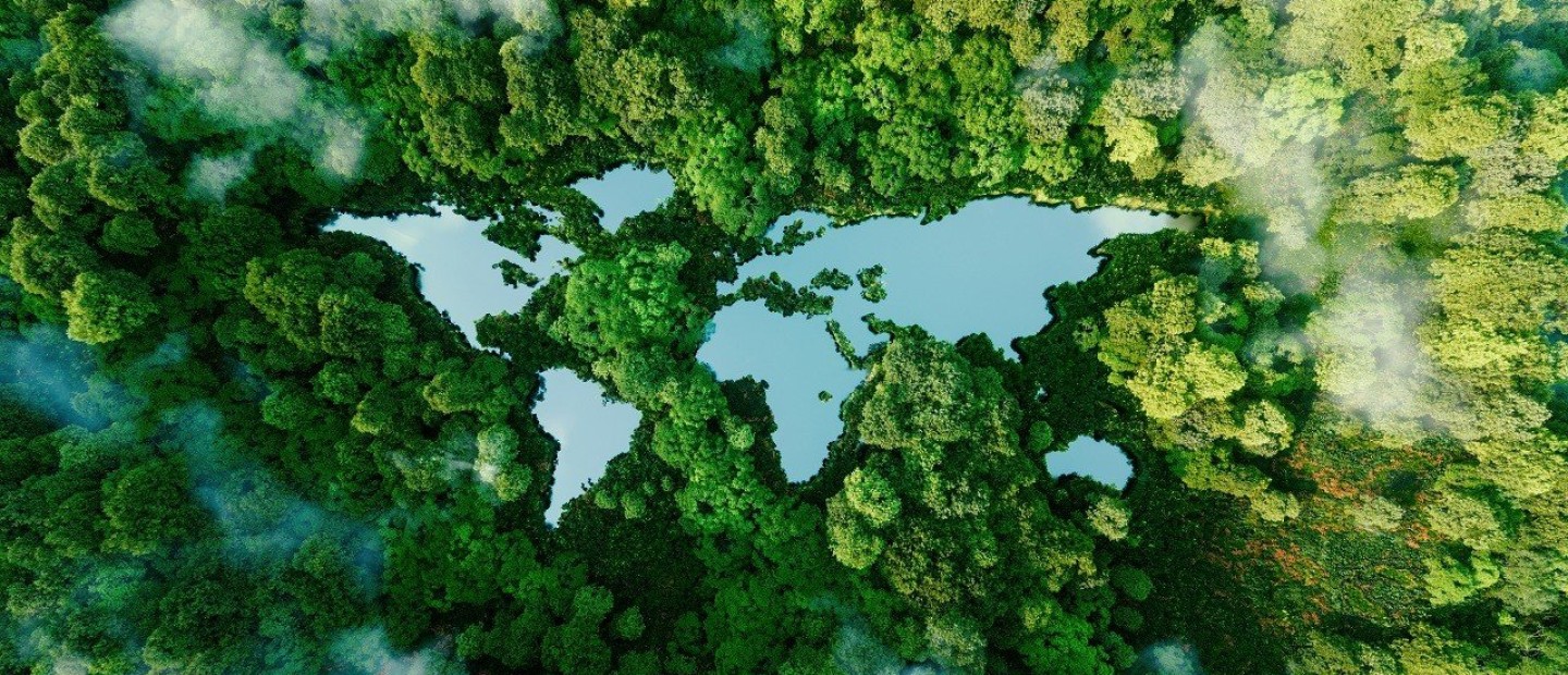 World Vegan Month: Τι θα αλλάξει στον πλανήτη αν έστω κι ένας από εμάς αποφασίσει να ακολουθήσει μια vegan διατροφή 