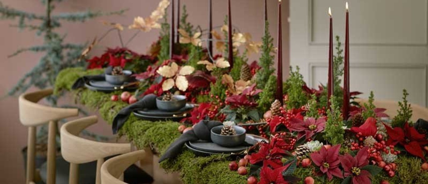 Εποχή Αλεξανδρινού: Τι πρέπει να κάνετε για να είναι πάντα ανθισμένο