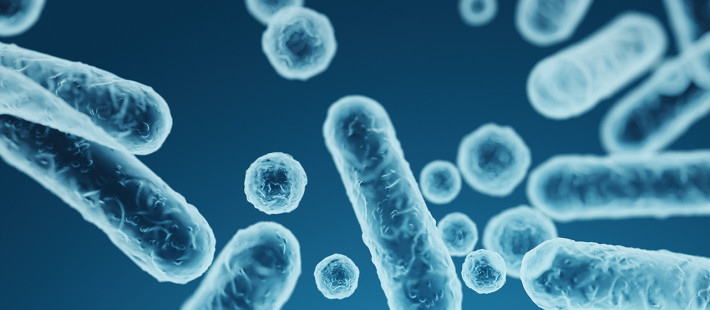 Ευ ζην στην Εμμηνόπαυση: Όσα οφείλουμε να γνωρίζουμε για το μικροβίωμα ως παράγοντα ισορροπίας κατά τη διάρκεια της εμμηνόπαυσης