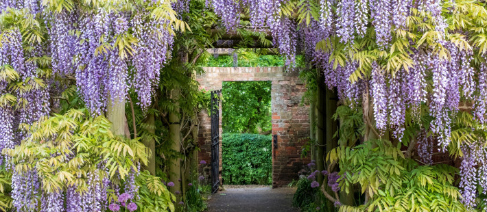 Τα πιο συχνά λάθη κηπουρικής την άνοιξη και πώς να τα αποφύγετε για έναν όμορφα ανθισμένο κήπο