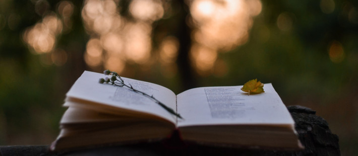 World Poetry Day: Οι καλύτερες ποιητικές συλλογές όλων των εποχών που πρέπει να διαβάσετε έστω μία φορά στη ζωή σας