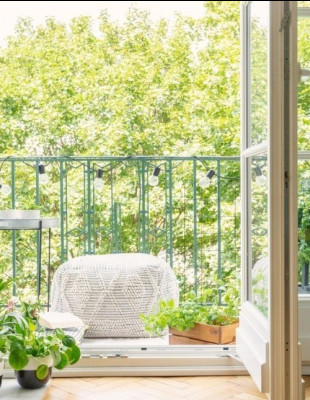 Τα μόνα φυτά που επιβιώνουν τόσο μέσα όσο κι έξω από το σπίτι