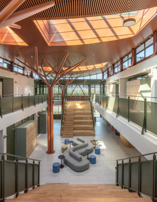 Το Pinewood επέστρεψε και επίσημα στο campus του Κολλεγίου Ανατόλια, θέτοντας σύγχρονους κανόνες στο design 