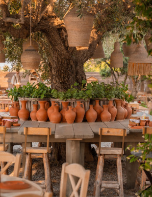 Παραδοσιακή κουζίνα, εποχικά υλικά και signature cocktails σε έναν κήπο στη Χαλκιδική που κρύβει ιστορίες 