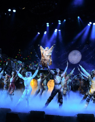 Το “Cats” έρχεται στη Θεσσαλονίκη: Τι μοιράζονται μαζί μας οι 4 πρωταγωνιστές της θρυλικής παράστασης Το “Cats” έρχεται στη Θεσσαλονίκη: Τι μοιράζονται μαζί μας οι 4 πρωταγωνιστές της θρυλικής παράστασης