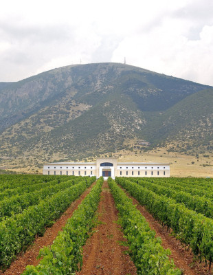 Από τη Μακεδονία έως τη Θράκη, μία μαγευτική περιπλάνηση στα οινοποιεία της Βόρειας Ελλάδας